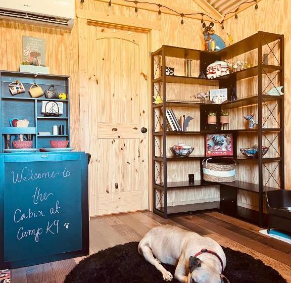 پانسیون The Cabin At Camp K9 Provides One On One Doggy Daycare