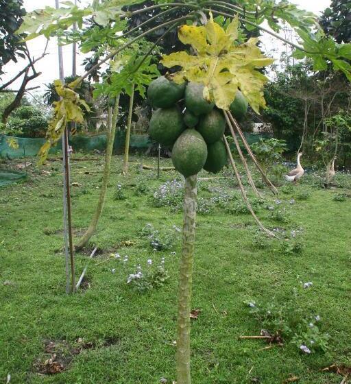 167 Original Farm B&b