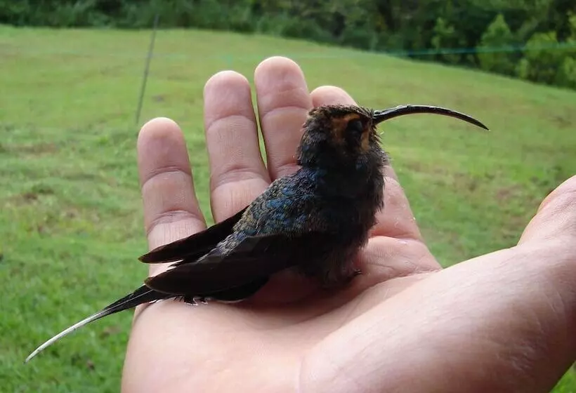 Hotelli Cabinas Ecogarden Arenal