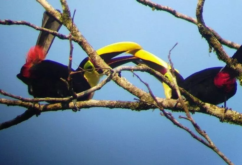Hotelli Cabinas Ecogarden Arenal