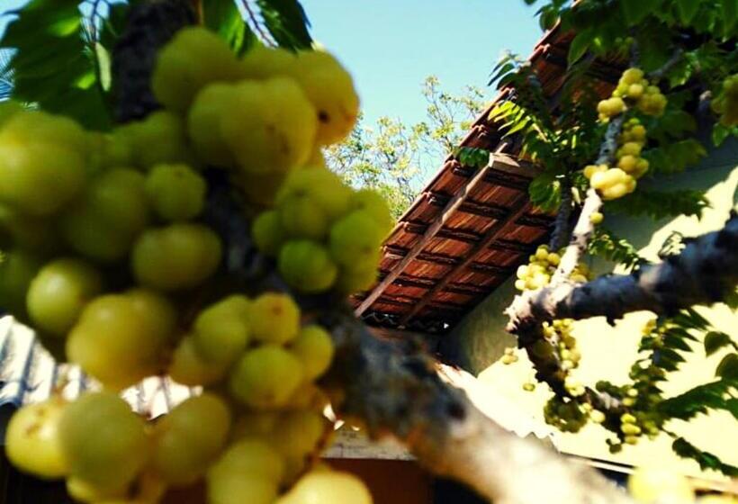 هتل Ceylon Heritage