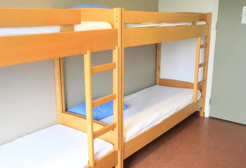 Lava Hostel