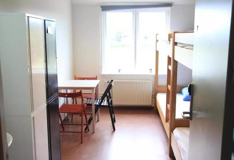 Lava Hostel