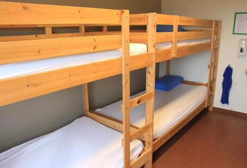 Lava Hostel