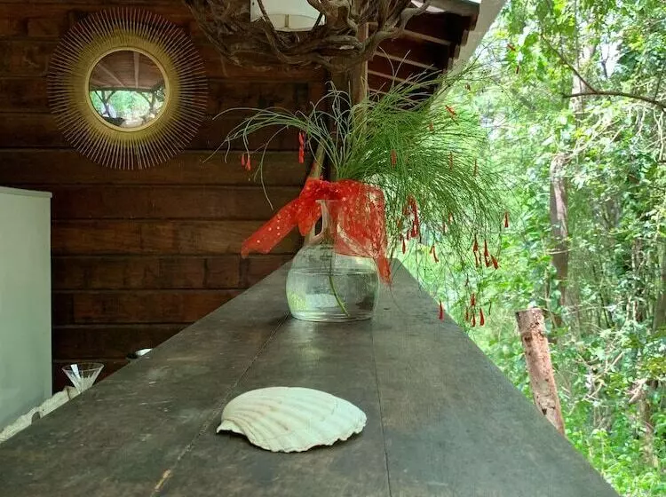 پانسیون Ecolodge Martinique