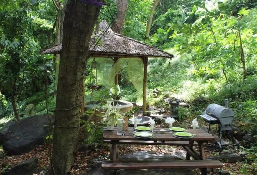 پانسیون Ecolodge Martinique