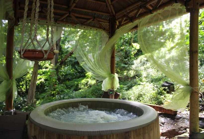 پانسیون Ecolodge Martinique