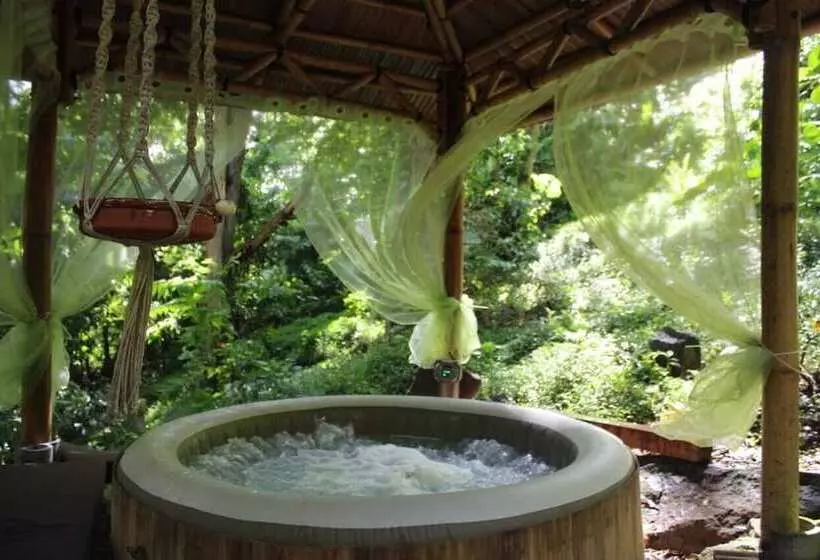 پانسیون Ecolodge Martinique