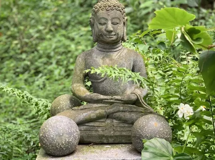 پانسیون Ecolodge Martinique