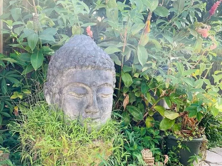 پانسیون Ecolodge Martinique