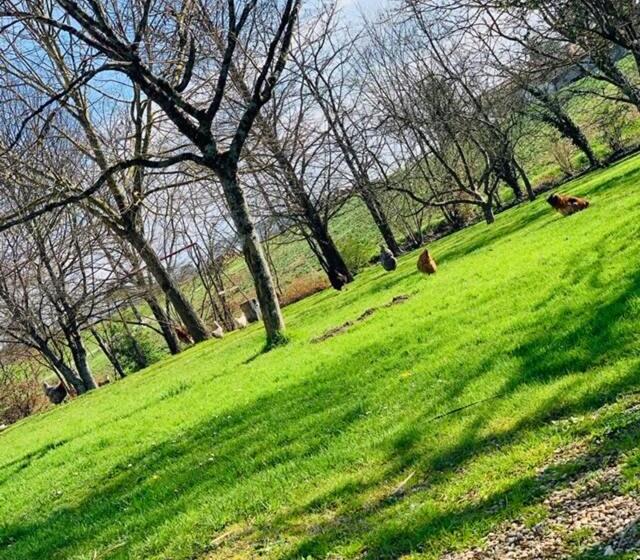 膳宿费 La Maison D  Hote Du Fond Du Riu