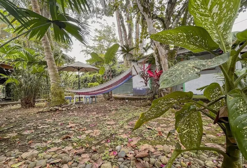 Hotelli Exotic Lodge