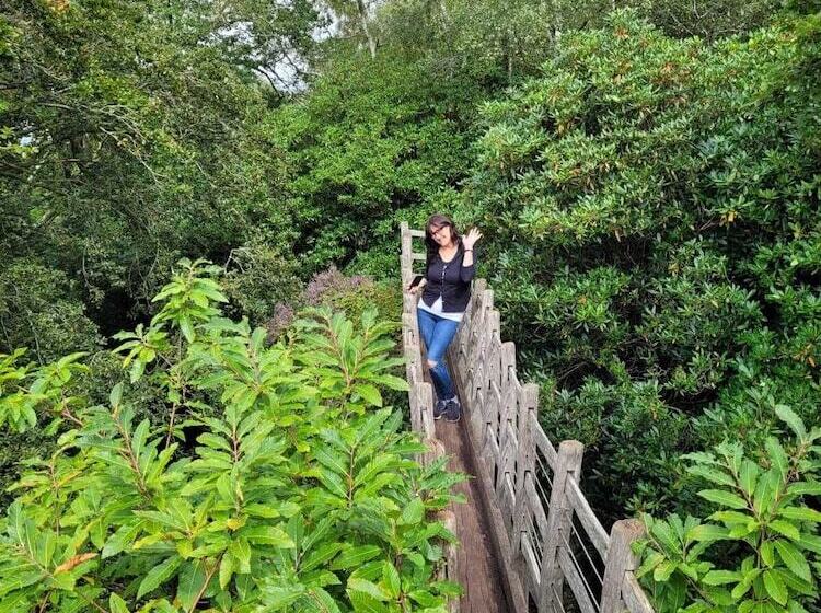 Lovely 2 Bed Cottage In Coalbrookdale Telford