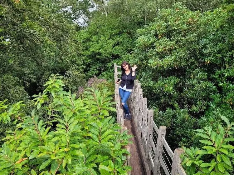 Lovely 2 Bed Cottage In Coalbrookdale Telford