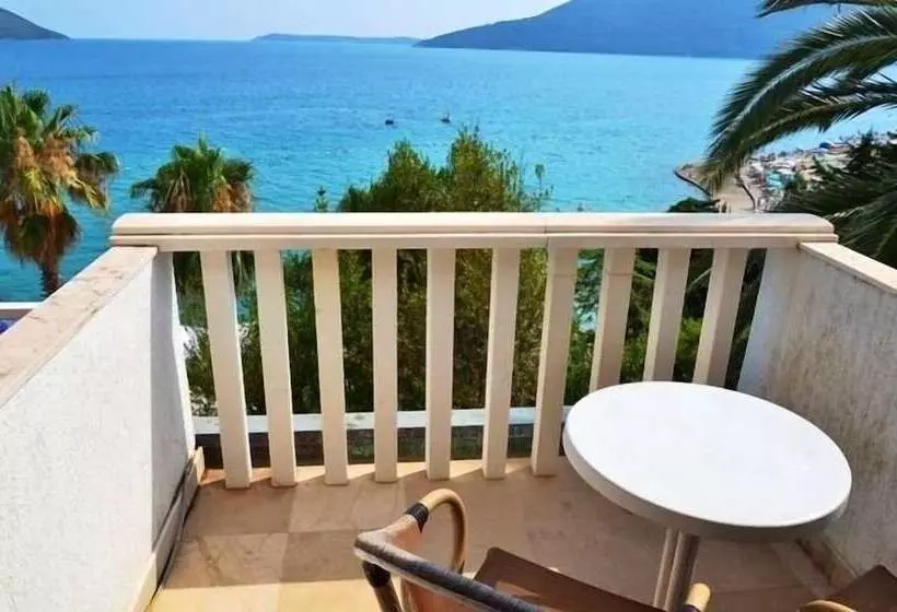 Garni Hotel Vila Aleksandar