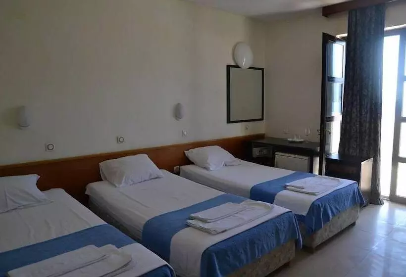 Garni Hotel Vila Aleksandar