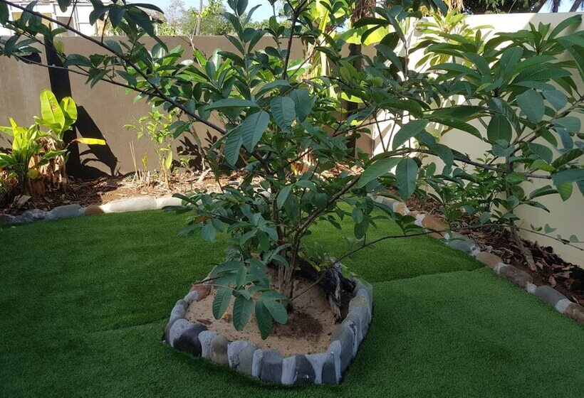 Hibiscus Residences Fiji