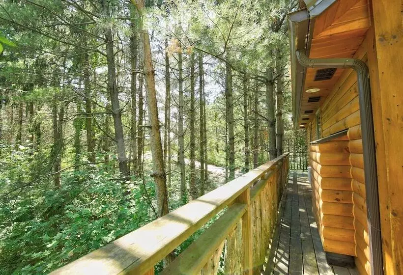 Hotelli Pine Cove Treehouses & Cabins