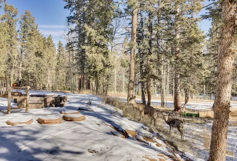 Pet Friendly Florissant Cabin W/ Fire Pit!