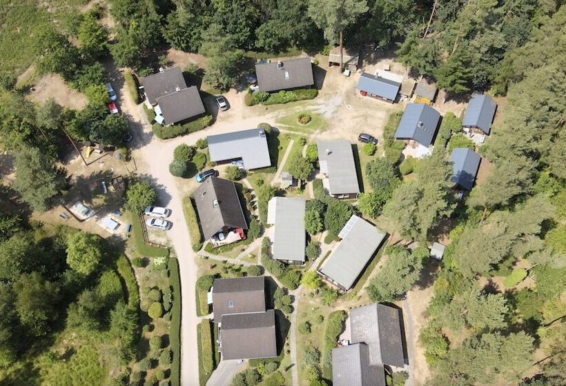 リゾートホテル Feriensiedlung Kiefernhain