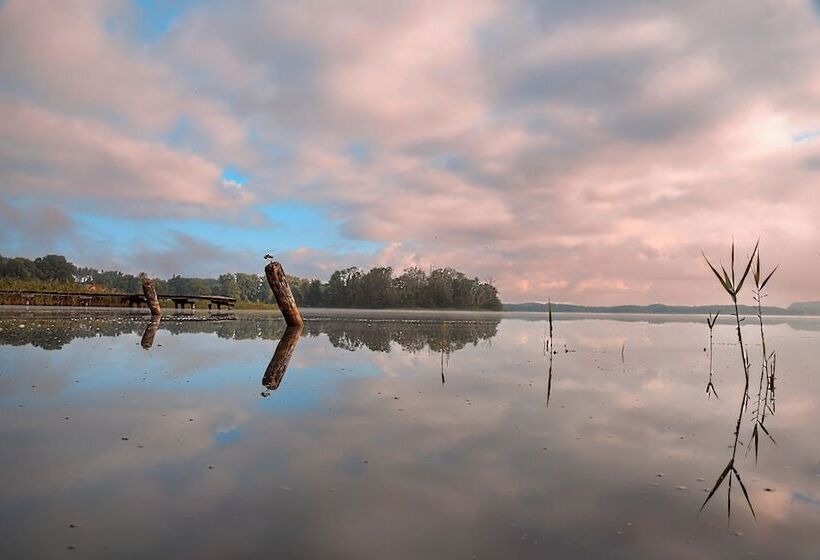 リゾートホテル Feriensiedlung Kiefernhain