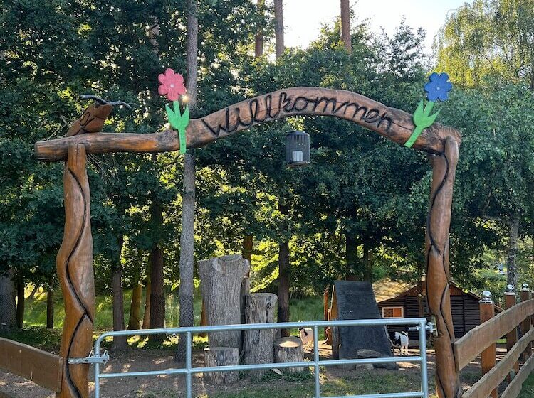 リゾートホテル Feriensiedlung Kiefernhain