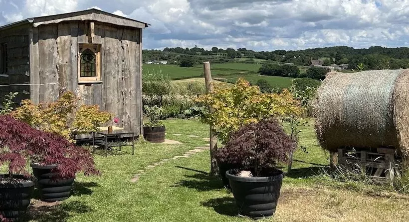 Luxury Shepherd S Hut Style Cabin With Views