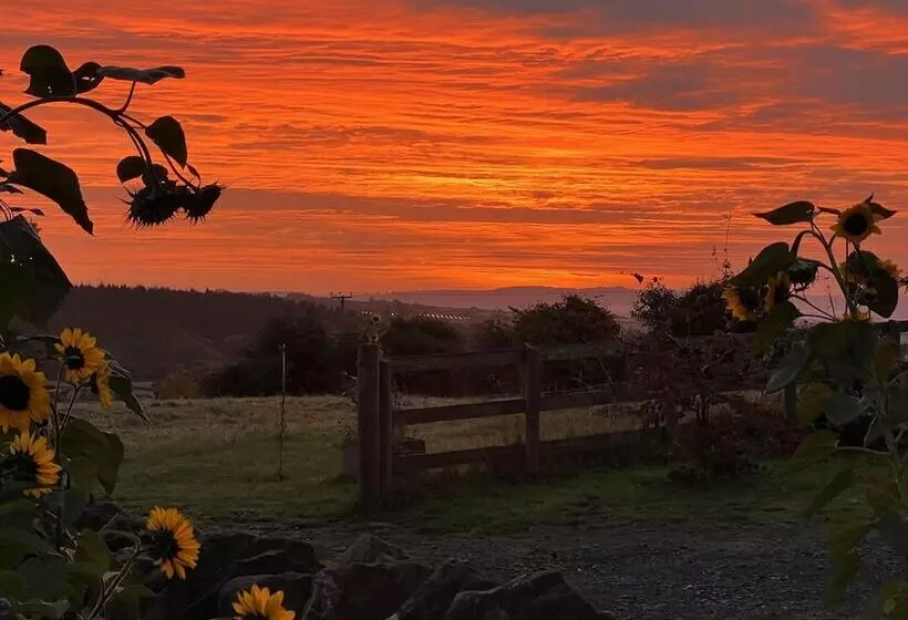 Luxury Shepherd S Hut Style Cabin With Views