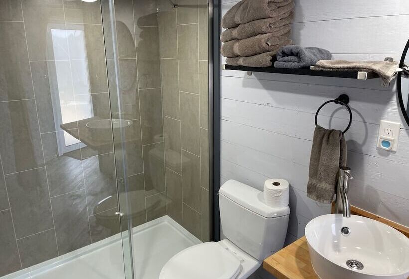 Отель Canyonlands Dome Resort