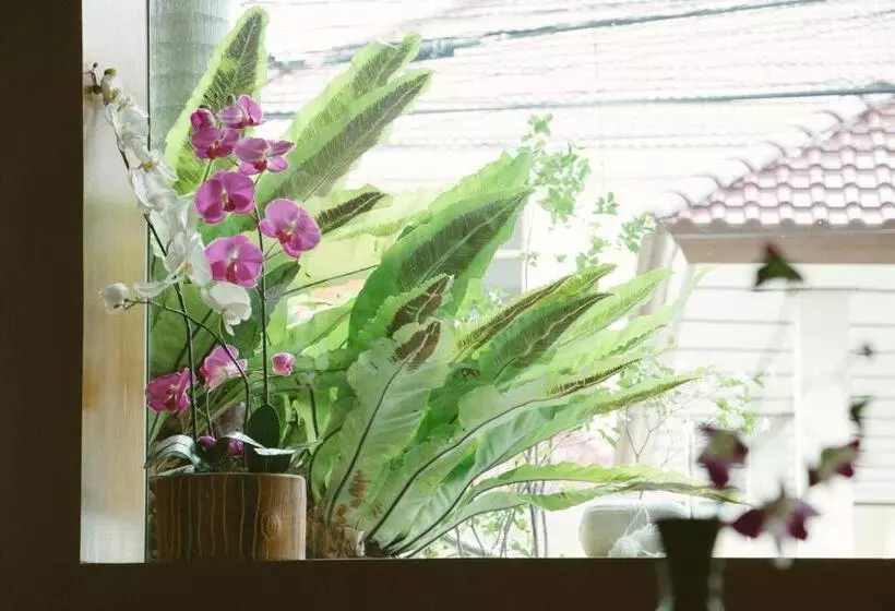 ユースホステル Ban Chang Pet Friendly Hotel By Scn