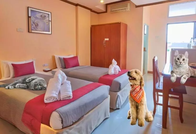 ユースホステル Ban Chang Pet Friendly Hotel By Scn