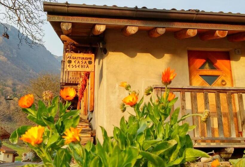 ホテル Agriturismo Casa Essenia