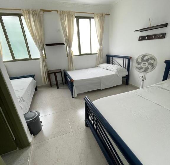 בית מלון כפרי California Tropical