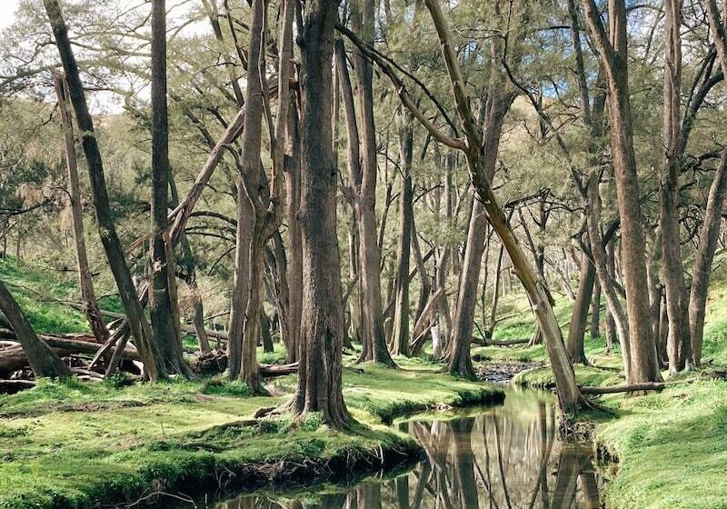 Resort Turon Gates   Mountain Retreat