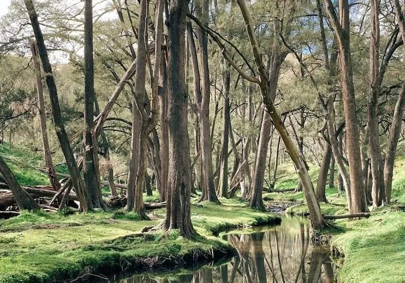 リゾートホテル Turon Gates   Mountain Retreat