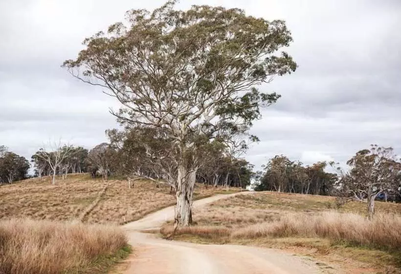 リゾートホテル Turon Gates   Mountain Retreat