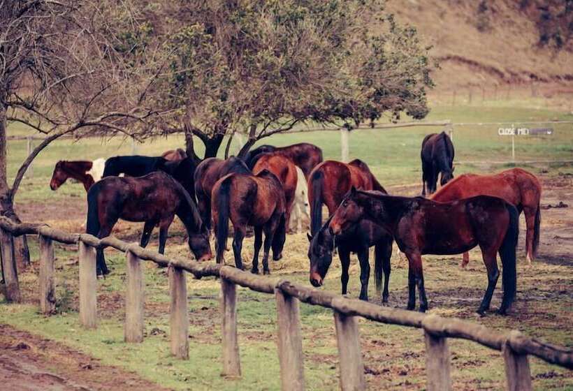 Resort Turon Gates   Mountain Retreat