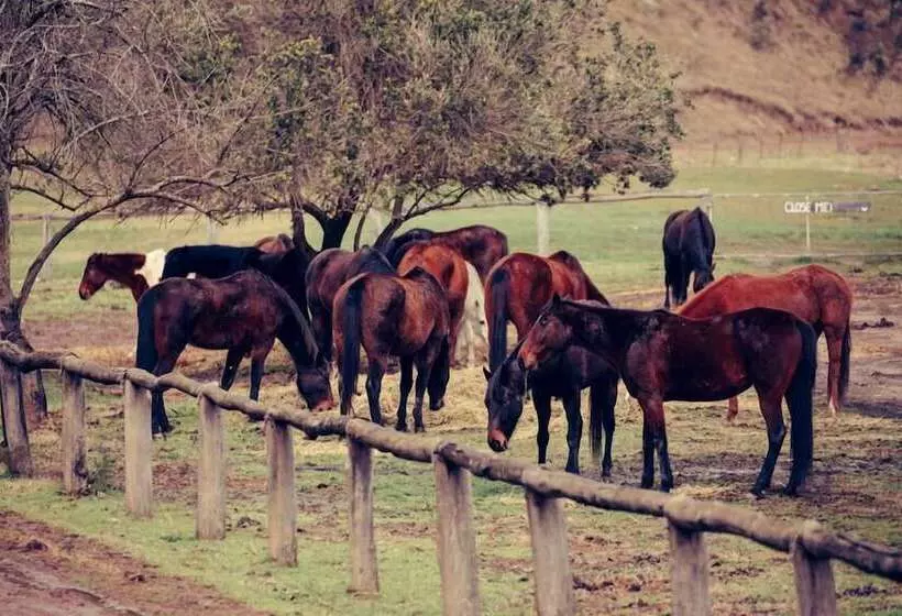 リゾートホテル Turon Gates   Mountain Retreat