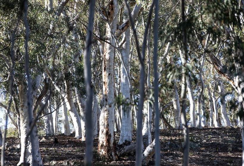 Resort Turon Gates   Mountain Retreat