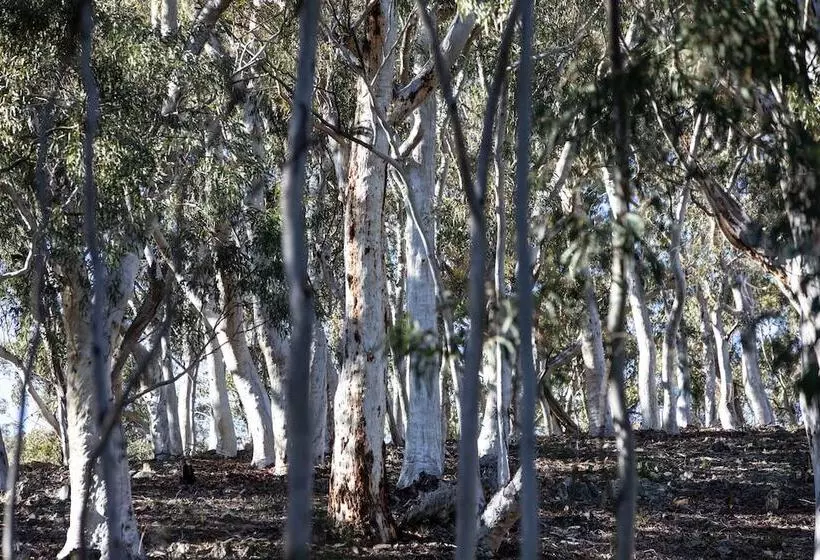リゾートホテル Turon Gates   Mountain Retreat