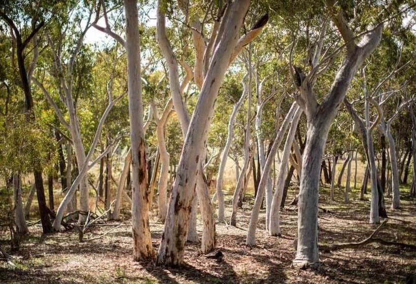 Resort Turon Gates   Mountain Retreat