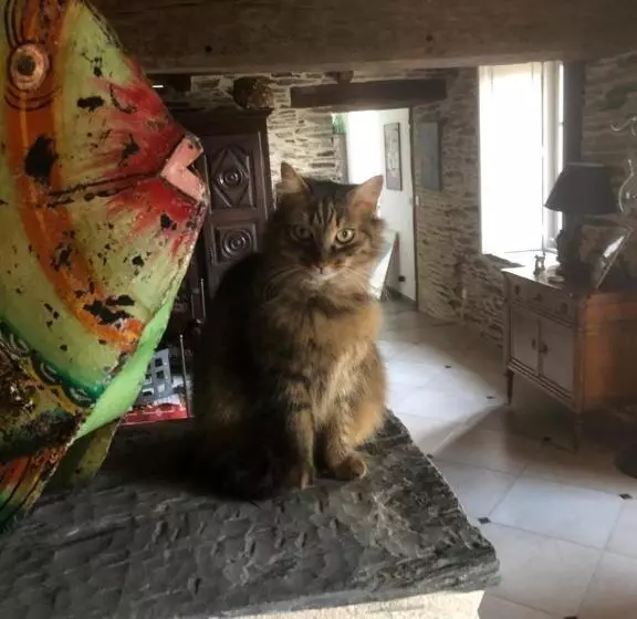 Aamiaismajoitus (B&B) La Petite Seigneurie De Lourmel