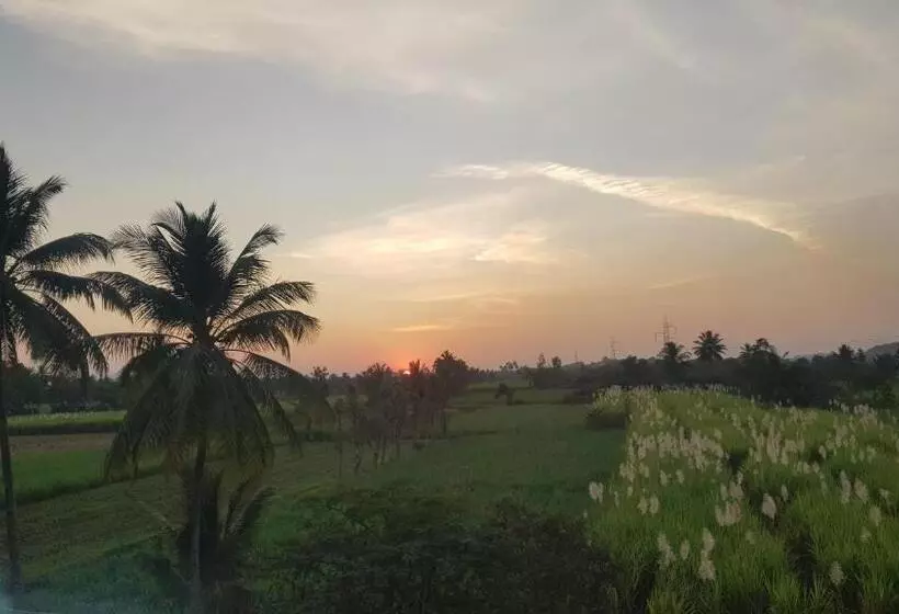 ペンション Padmaa Hampi Echo Villa