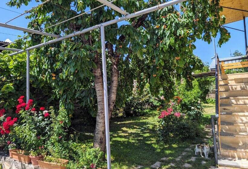 پانسیون Eleven 11