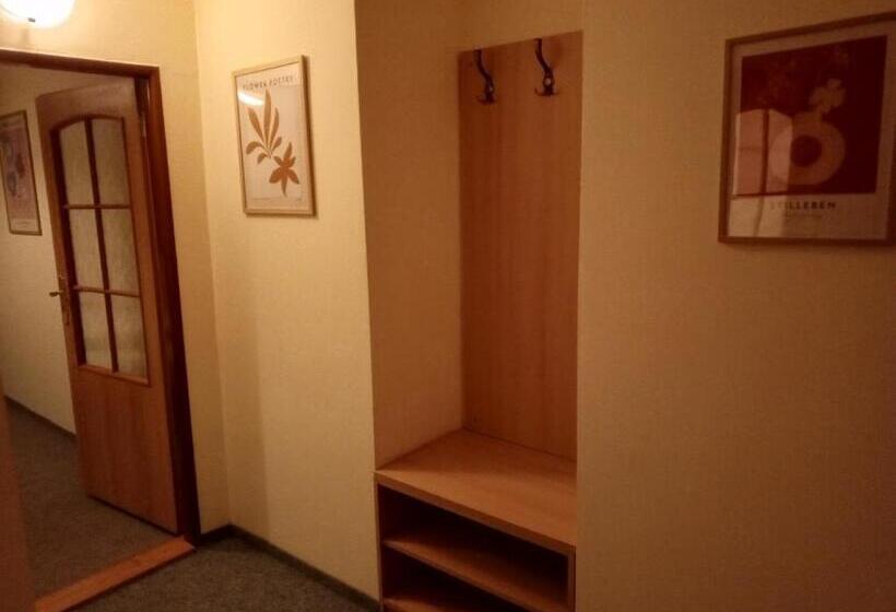 ペンション Penzion Flídr