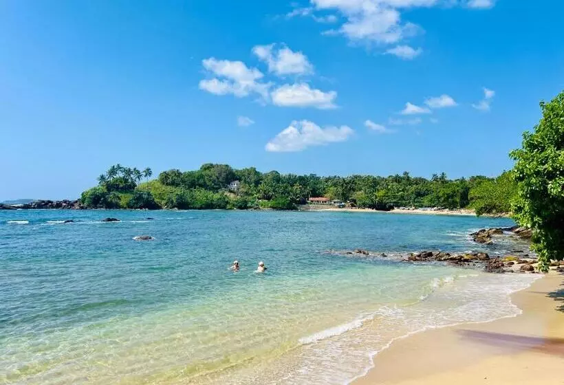 پانسیون Blue Surf View Tangalle