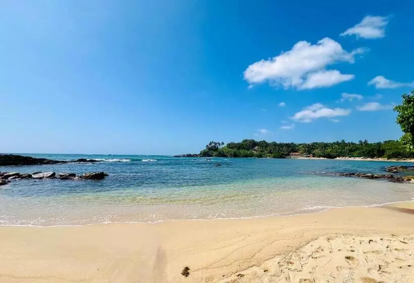 پانسیون Blue Surf View Tangalle