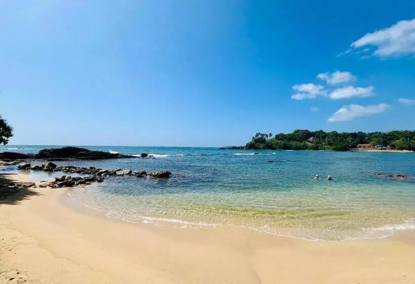 پانسیون Blue Surf View Tangalle