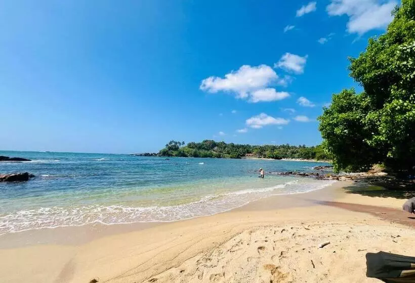 پانسیون Blue Surf View Tangalle