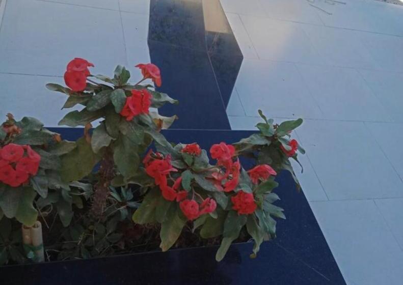 پانسیون Nice Studio On The Roof